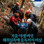 가을 야생 버섯 채취실족에 중독까지 비상 -